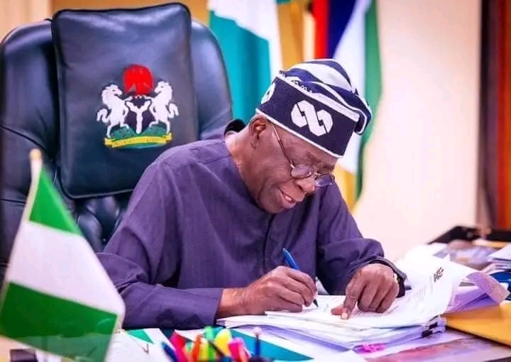 Tinubu Appoints New Heads for Humanitarian Affairs Agencies